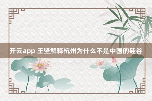 开云app 王坚解释杭州为什么不是中国的硅谷