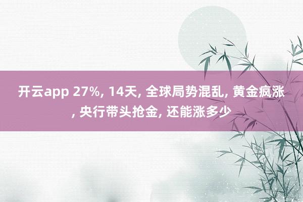 开云app 27%， 14天， 全球局势混乱， 黄金疯涨， 央行带头抢金， 还能涨多少